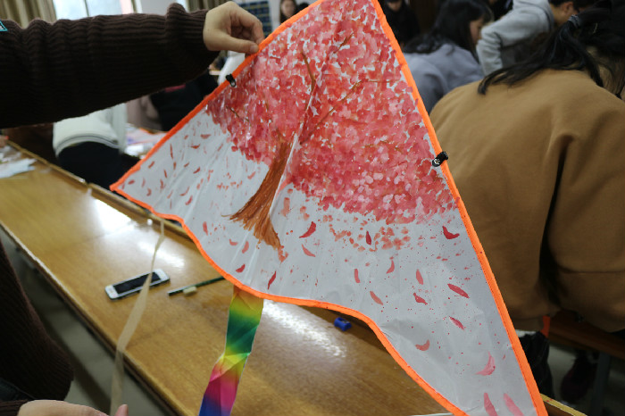 风筝展示 (2).JPG