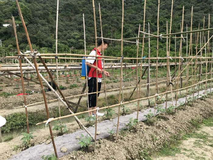 学生党员喷洒农药.jpg