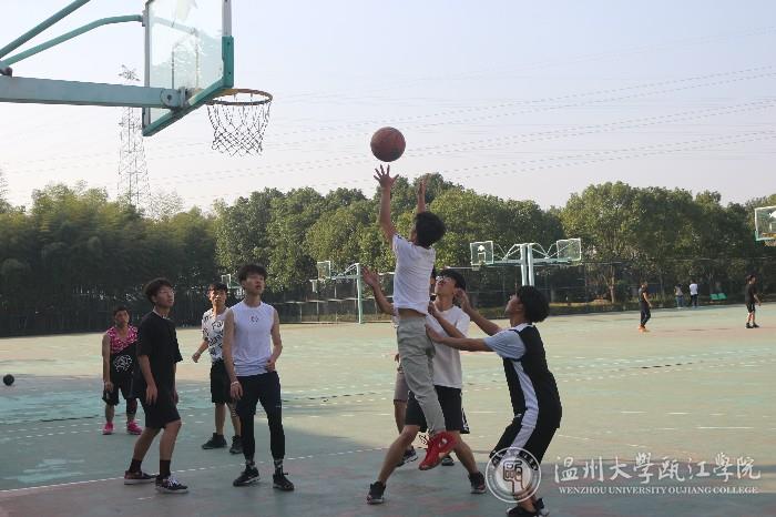 篮下拼抢（1）.JPG